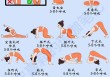 瑜伽入门基础动作/瑜伽入门基本动作全套