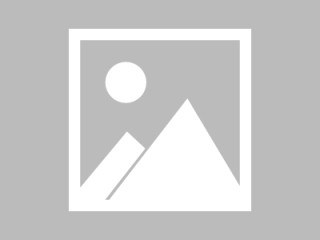 文物背后的历史故事/文物背后的历史故事作文