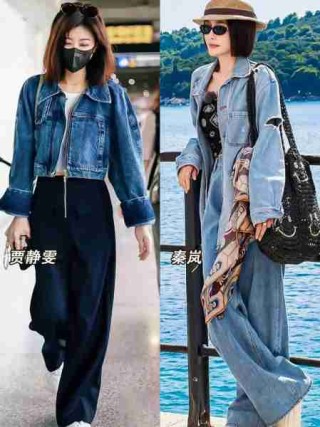 明星穿搭风格分析/明星穿搭风格分析图