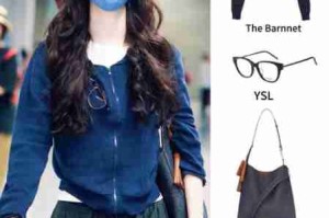 明星穿搭风格分析/明星穿搭风格分析怎么写