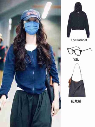 明星穿搭风格分析/明星穿搭风格分析怎么写