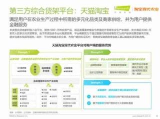 农村电商发展模式/农村电商发展战略