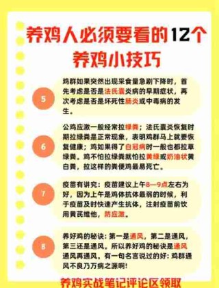 畜牧养殖实用技巧/畜牧养殖怎么养