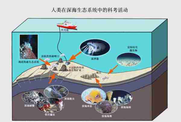 海洋生态系统探秘/海洋生态系统的特点和作用