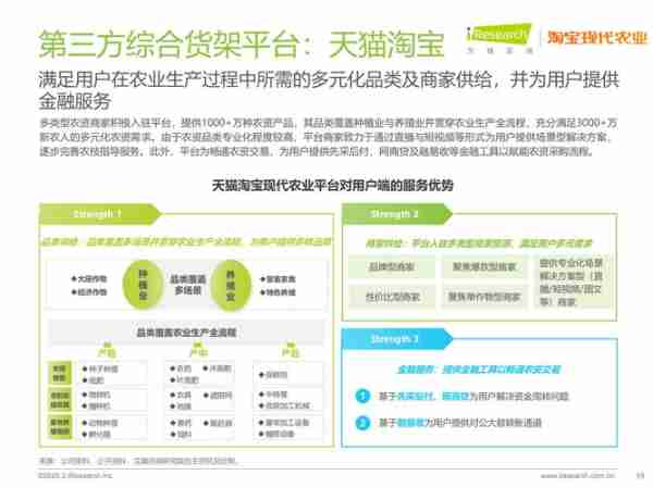 农村电商发展模式/农村电商发展战略