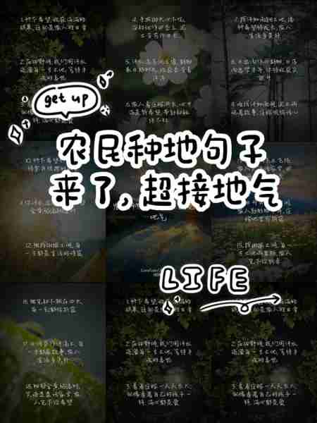 现代农业种植技术/现代农业种植技术七字句子